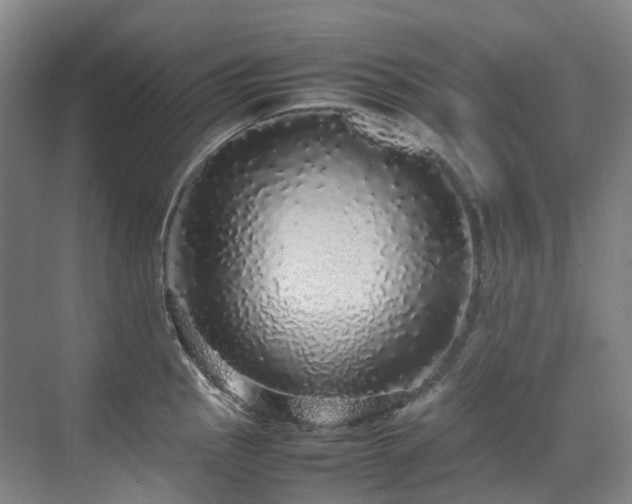 X0000070851145200606161128