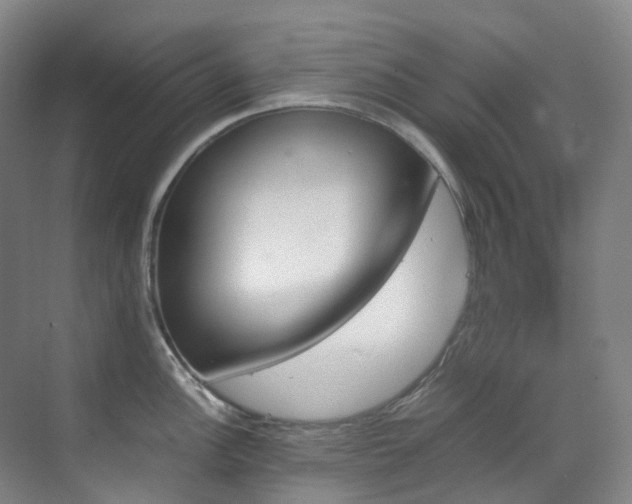 X0000070851148200606161128