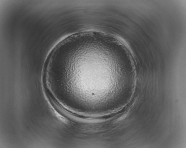 X0000070851149200606161128