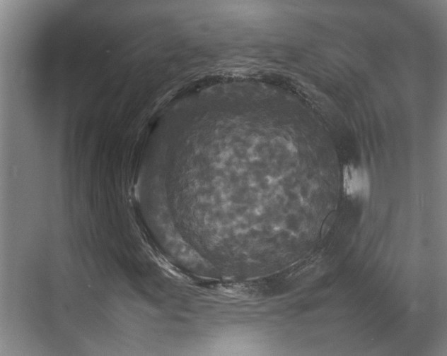 X0000070851155200606161127
