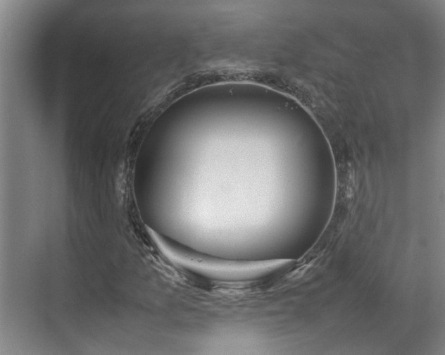 X0000070851157200606161127