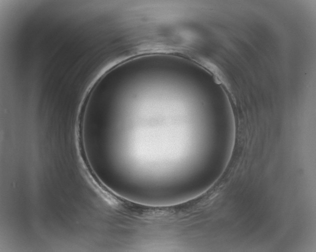 X0000070851187200606161127