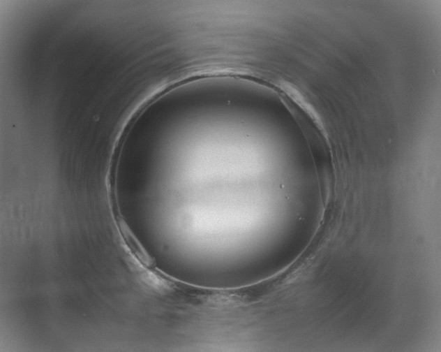 X0000070851189200606161127