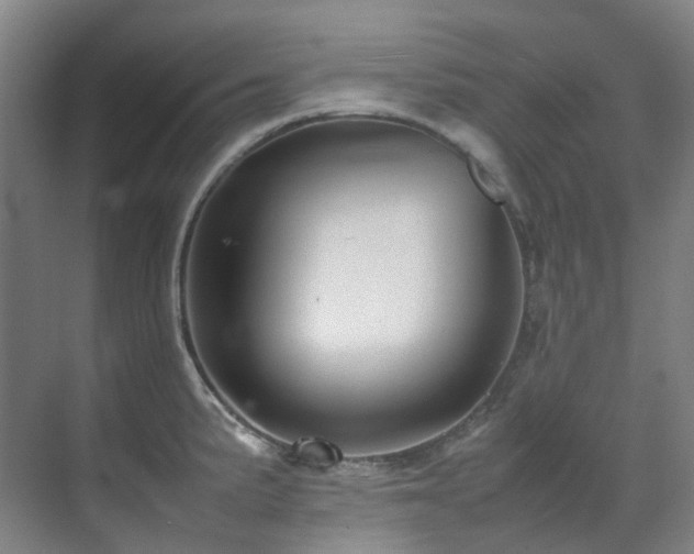 X0000070851191200606161127