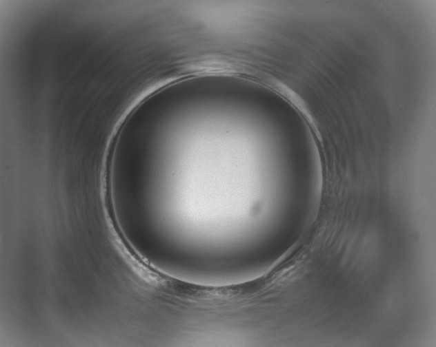 X0000070851195200606161127