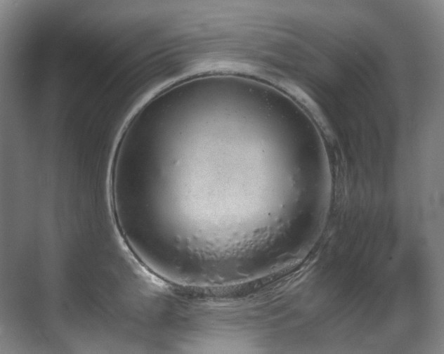 X0000070851199200606161127