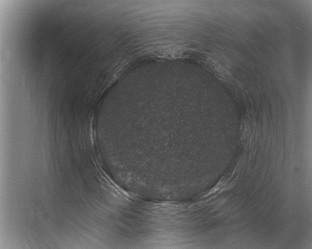 X0000070851202200606161126