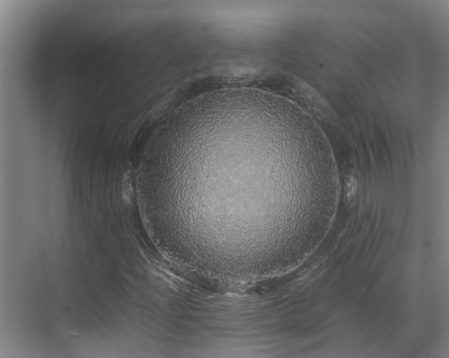 X0000070851204200606161126