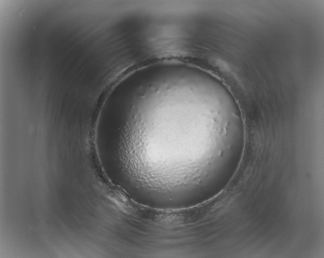 X0000070851217200606161126
