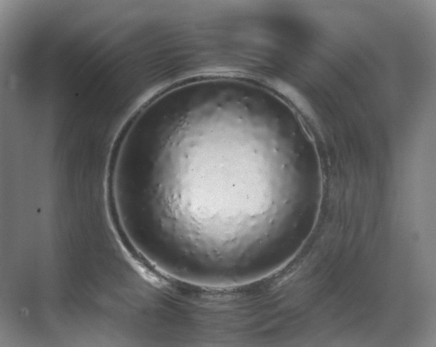 X0000070851237200606161126