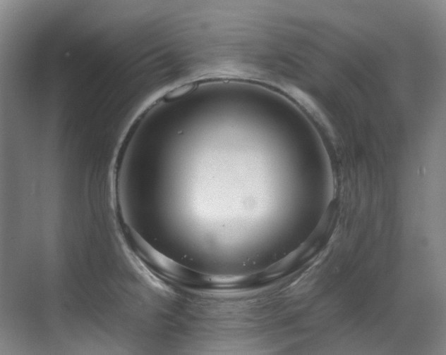 X0000070851238200606161126