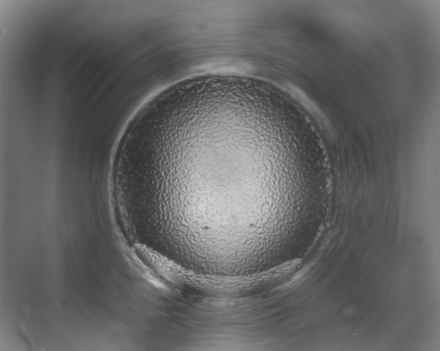 X0000070851240200606161126