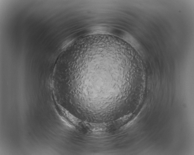 X0000070851241200606161126