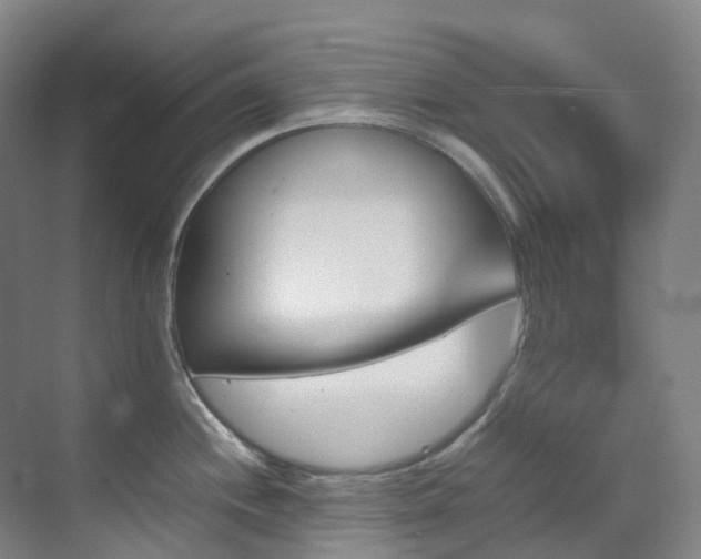 X0000070851244200606161127