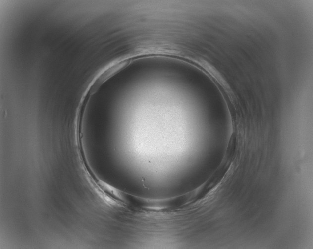 X0000070851246200606161127