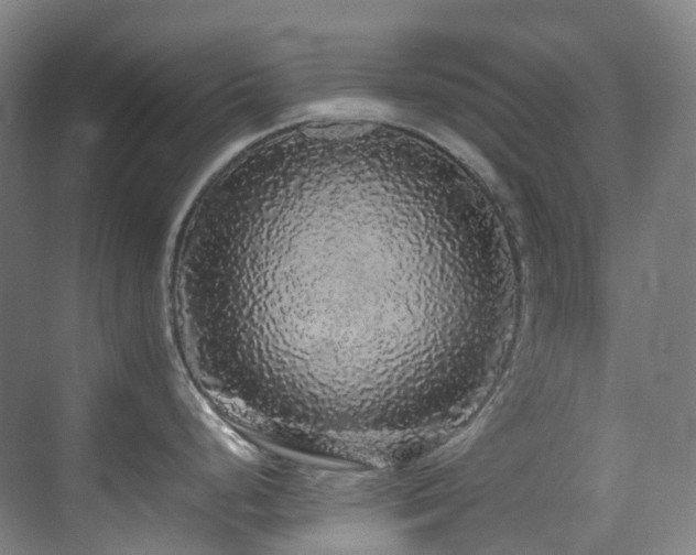 X0000070851248200606161127