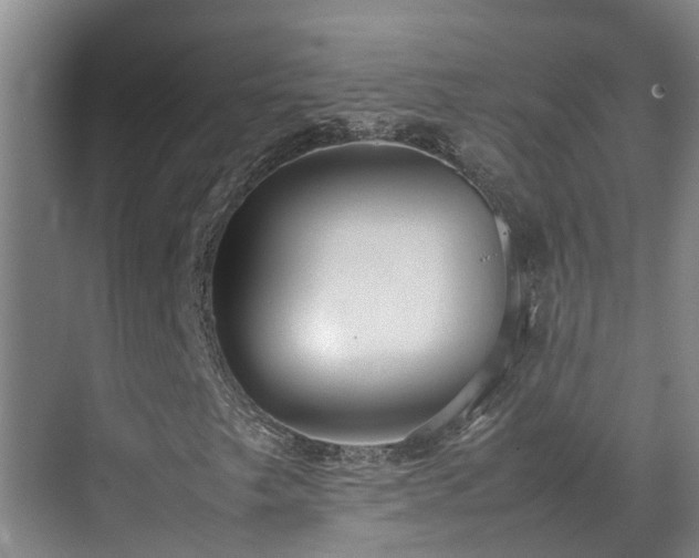 X0000070851249200606161126