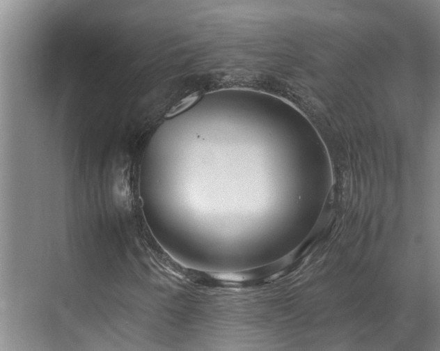 X0000070851250200606161126