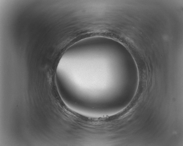 X0000070851257200606161126