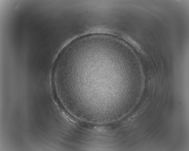 X0000070851264200606161126