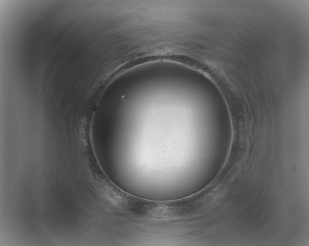 X0000070851265200606161126