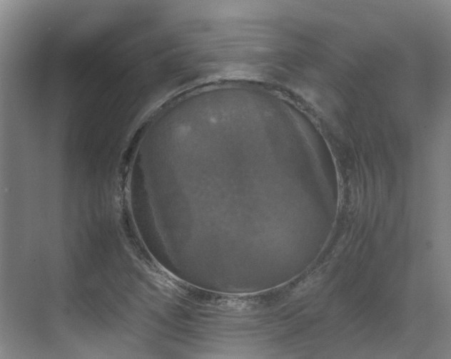 X0000070851266200606161125