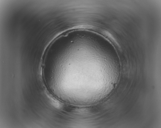 X0000070851276200606161125