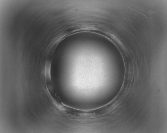 X0000070851281200606161125