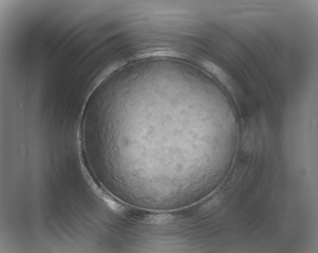 X0000070851282200606161125