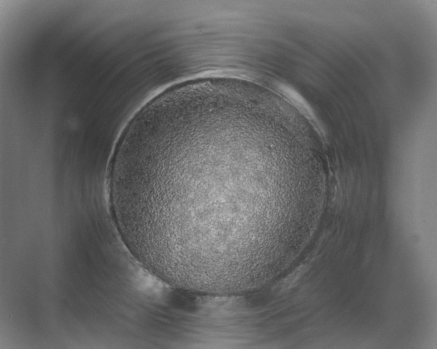 X0000070851284200606161125