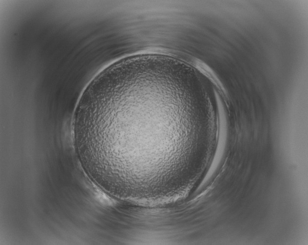 X0000070851292200606161125