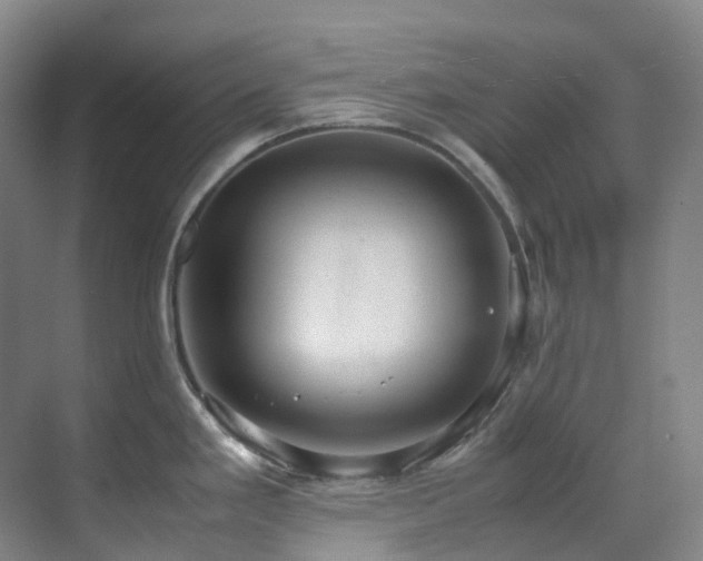 X0000070851293200606161125