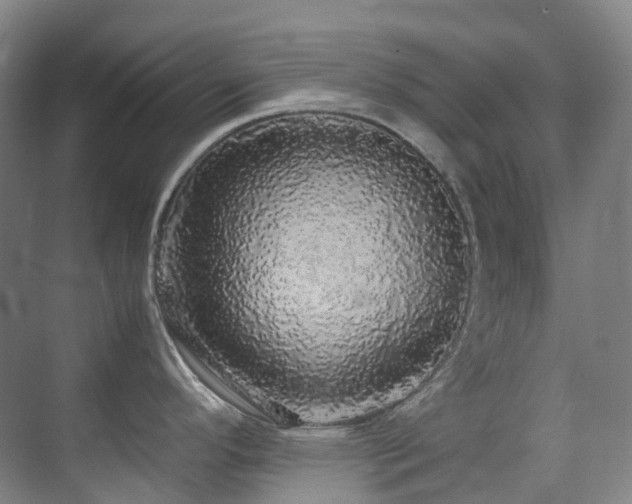 X0000070851296200606161125