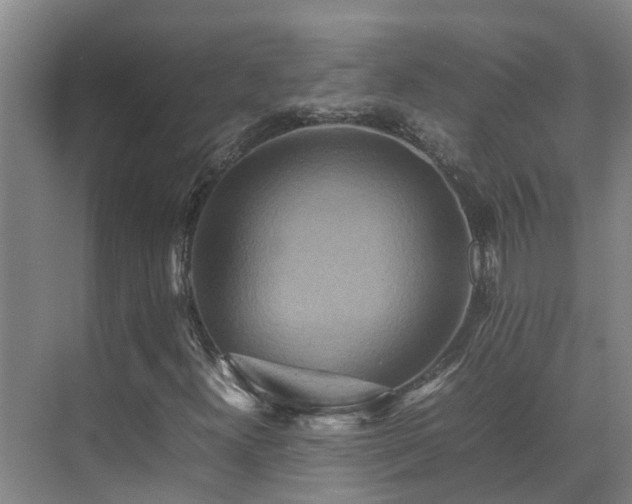 X0000070851300200606161124