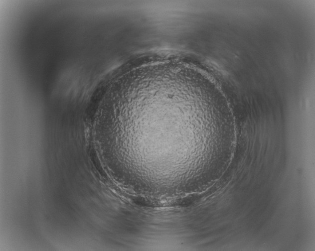 X0000070851302200606161124