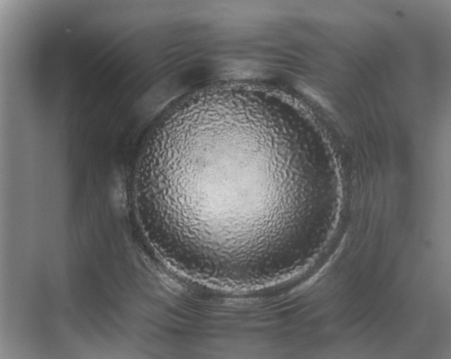 X0000070851305200606161124