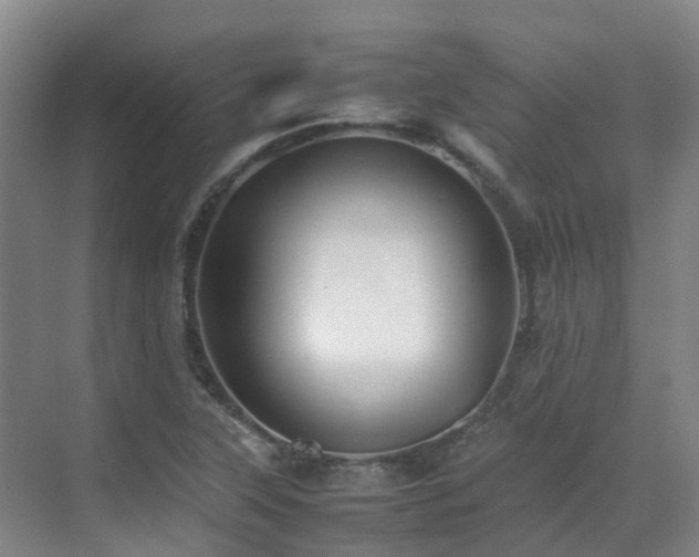 X0000070851315200606161124