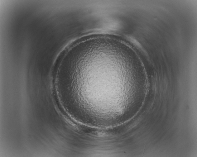 X0000070851318200606161125