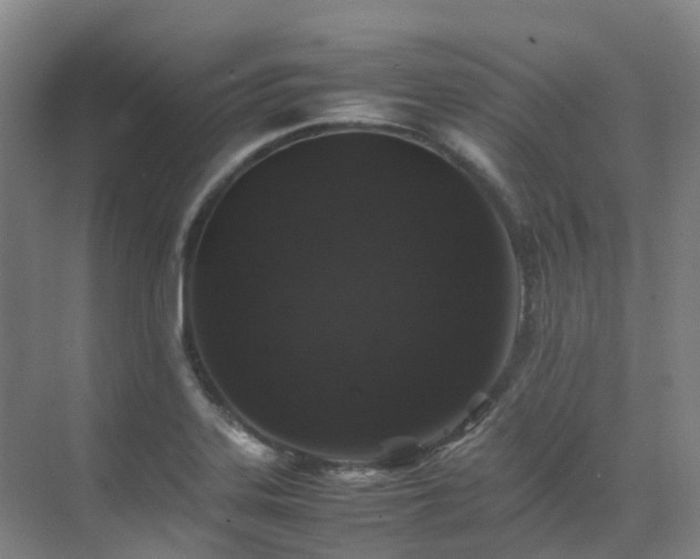 X0000070851323200606161125