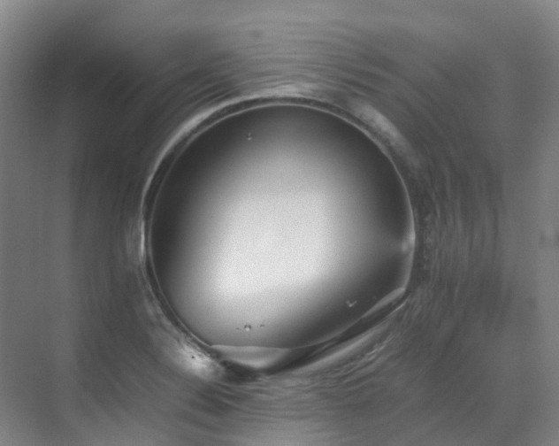 X0000070851324200606161125