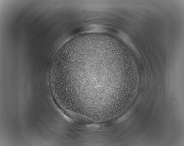 X0000070851329200606161125