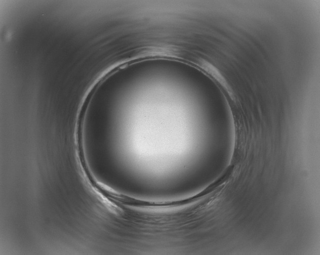 X0000070851339200606161125