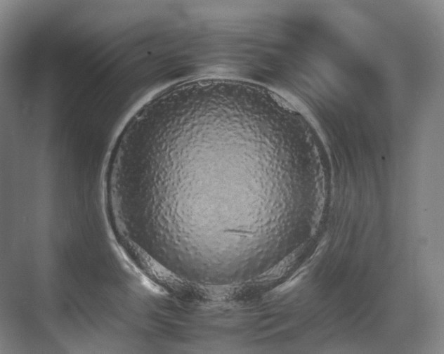 X0000070851341200606161125