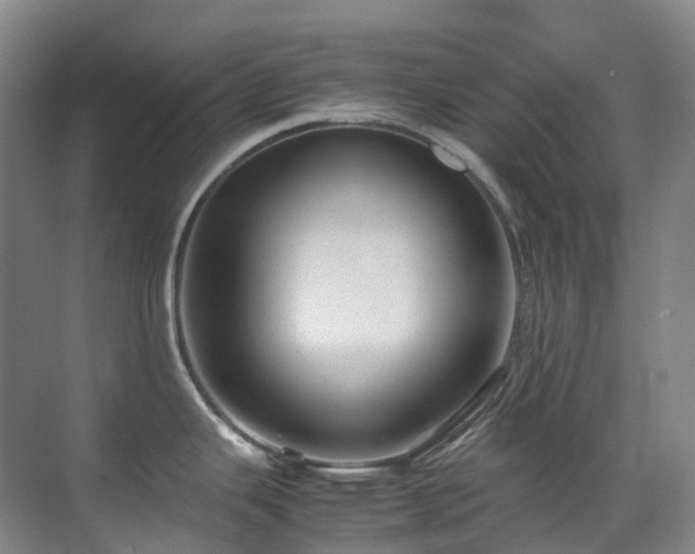 X0000070851343200606161125