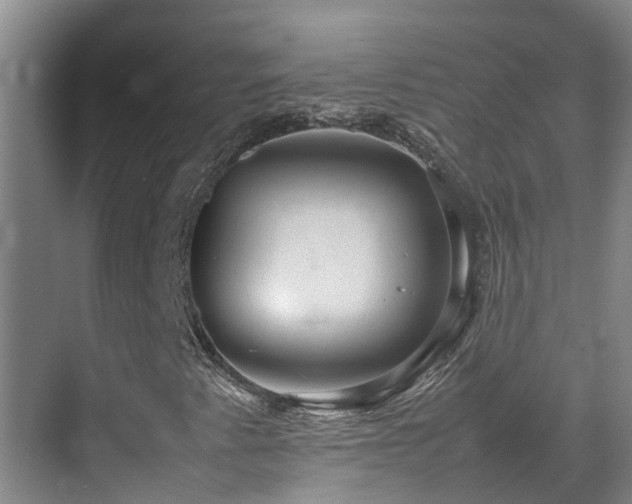 X0000070851345200606161124