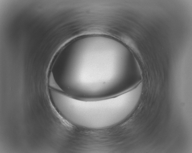 X0000070851380200606161124