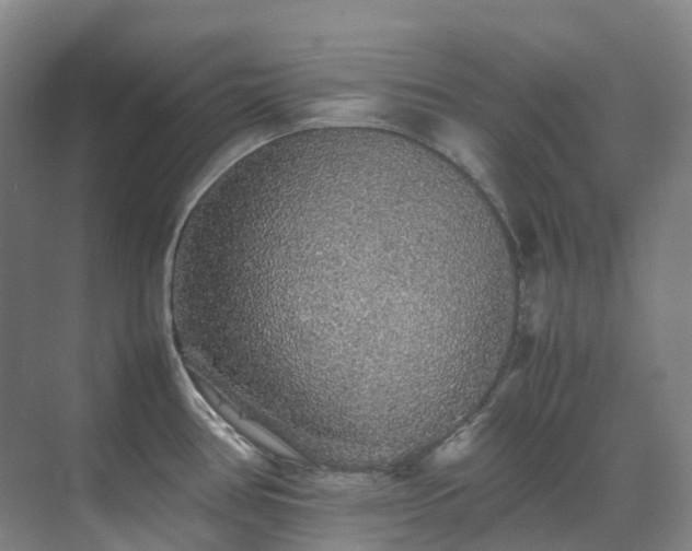 X0000070851386200606161123