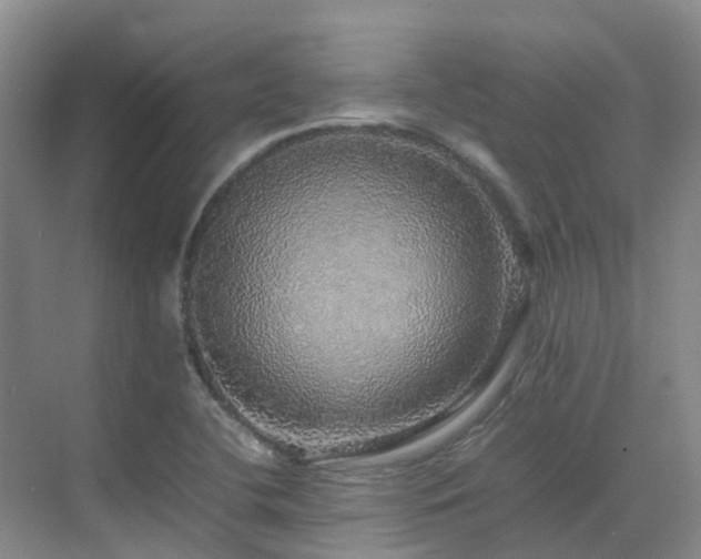 X0000070851412200606161123