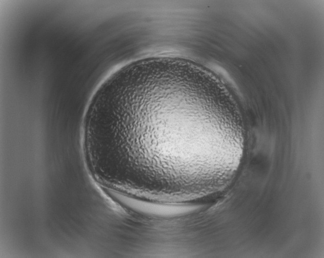 X0000070851424200606161123