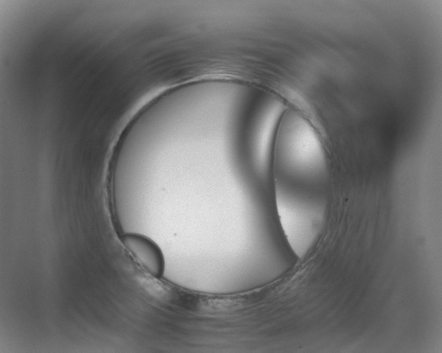 X0000070851427200606161123